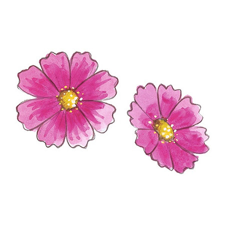 Rosa Blumen_S66