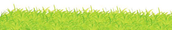 Garden Kids_Rasen_Hintergrund