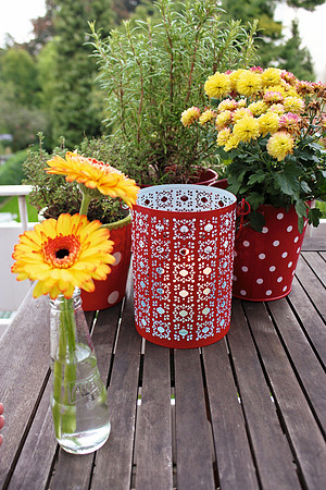 SP10394_SB
