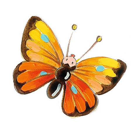 Schmetterling_S57
