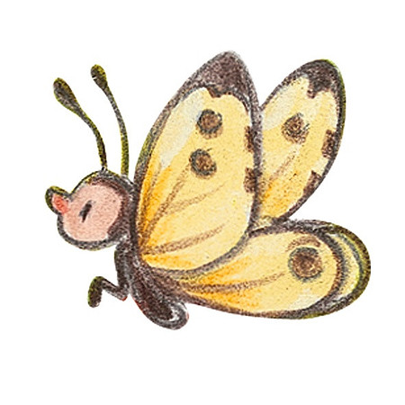 Schmetterling_S65