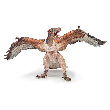 PA55034