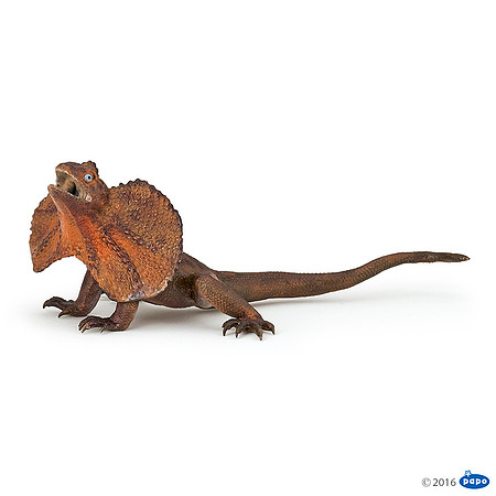 PA50223