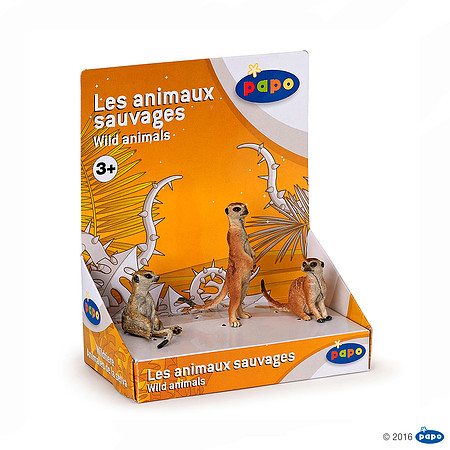 PA50099-box