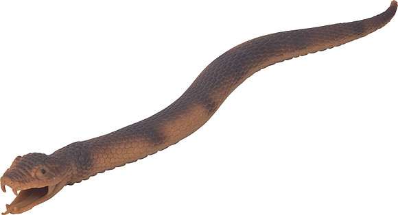 SP17937_002