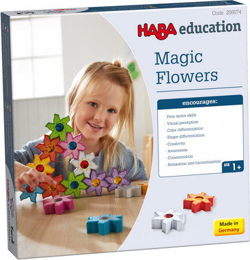 HA208074