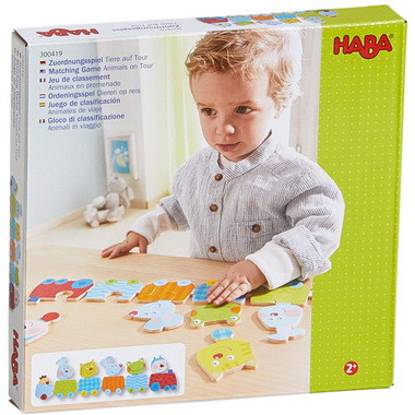 HA300419